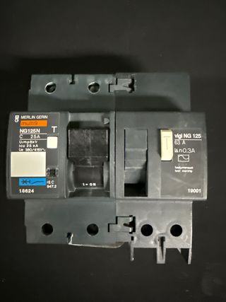 Magnetotermico Merlín Gerin NG125N 25A