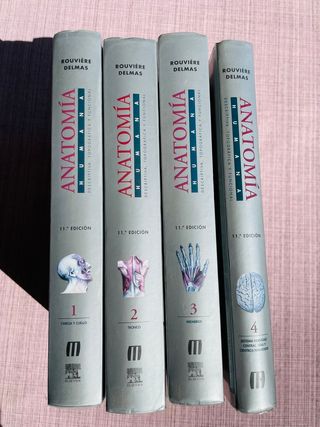 Anatomía Humana Descriptiva, topográfica y func...