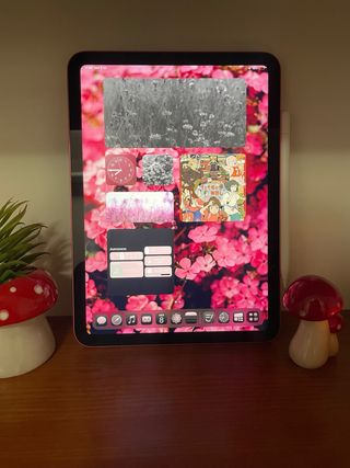 iPad 10ª gen 2022 Rosa