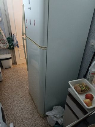 Frigorífico y congelador Fagor grande