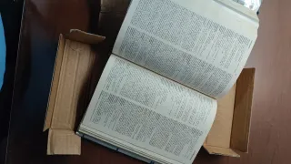 Dizionario inglese e francese