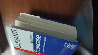 Dizionario inglese e francese