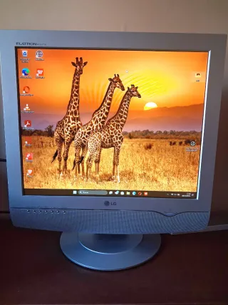 Monitor LG Flatron M1917TD 19"