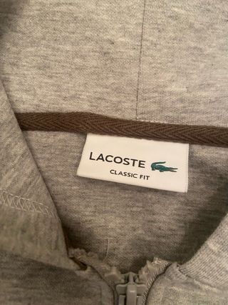Chándal Lacoste Gris 