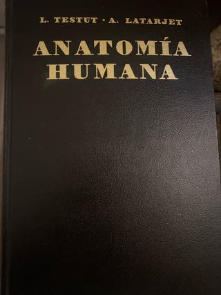 Anatomía Humana