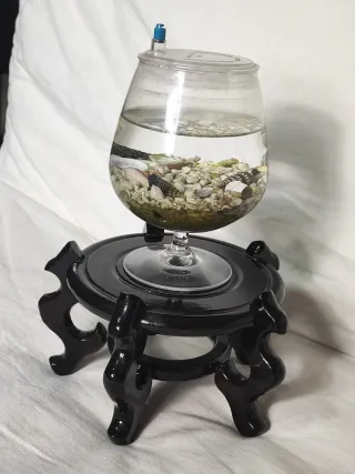 Acuario pecera tipo copa