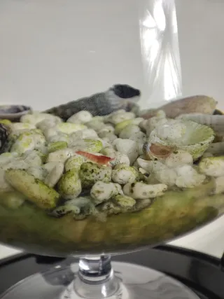 Acuario pecera tipo copa