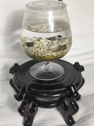 Acuario pecera tipo copa