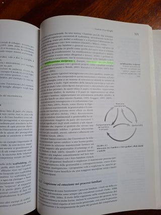 Psicologia Dello Sviluppo (Italian Edition)