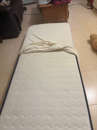 Somier metálico y 2 colchones 