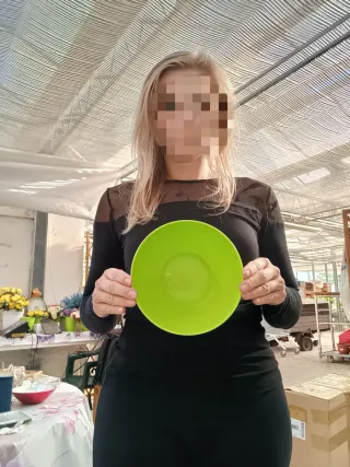 8 Vasi Ciotole Piante Grasse