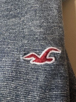 Sudadera Hollister Azul y Gris