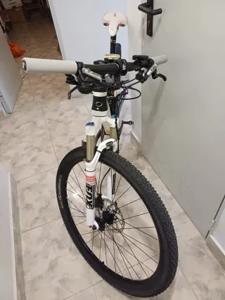 Bicicleta Orbea Occam 29