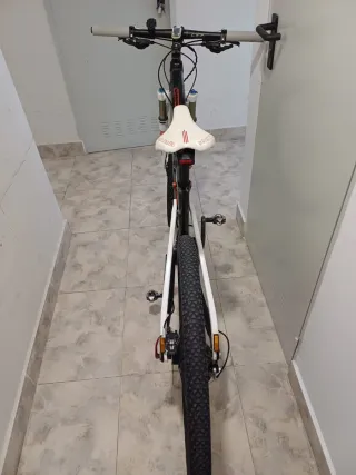 Bicicleta Orbea Occam 29