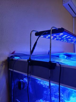 Pantalla LED Evergrow  Acuario Marino