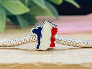 Charm Mapa Francia - Plata