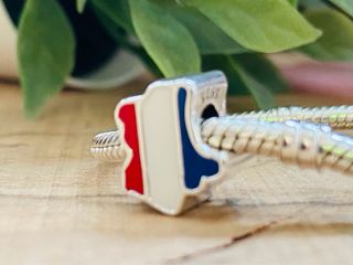 Charm Mapa Francia - Plata