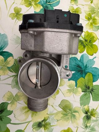 Cuerpo Mariposa Citroen C3