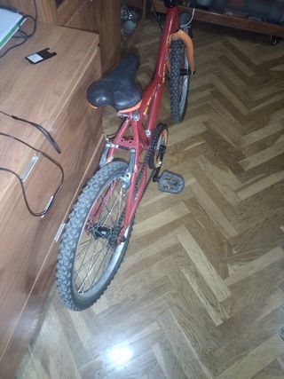 Bicicleta infantil 20