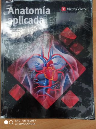 Anatomía