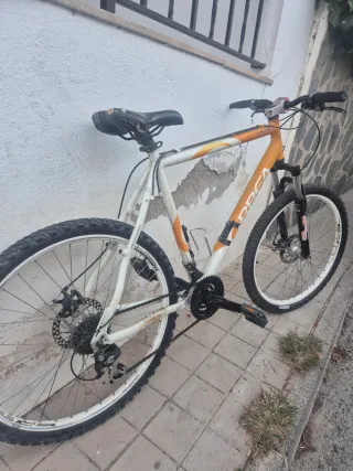 Bicicleta Orbea Talla L