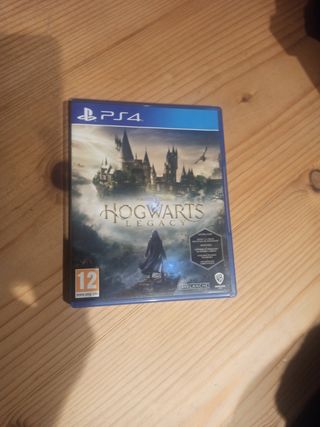 Hogwarts Legacy PS4 (PlayStation 4)