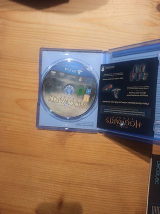 Hogwarts Legacy PS4 (PlayStation 4)
