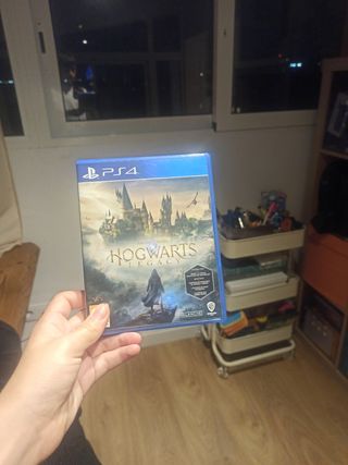 Hogwarts Legacy PS4 (PlayStation 4)