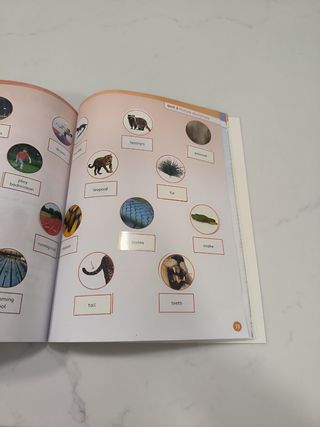 Libro actividades ingles 3 Primaria 