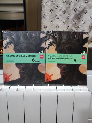 Libro de Valores sociales y cívicos 6 Primaria. 