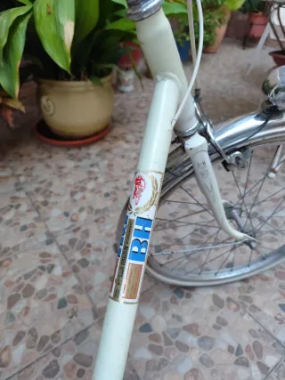 Bicicleta BH 20"