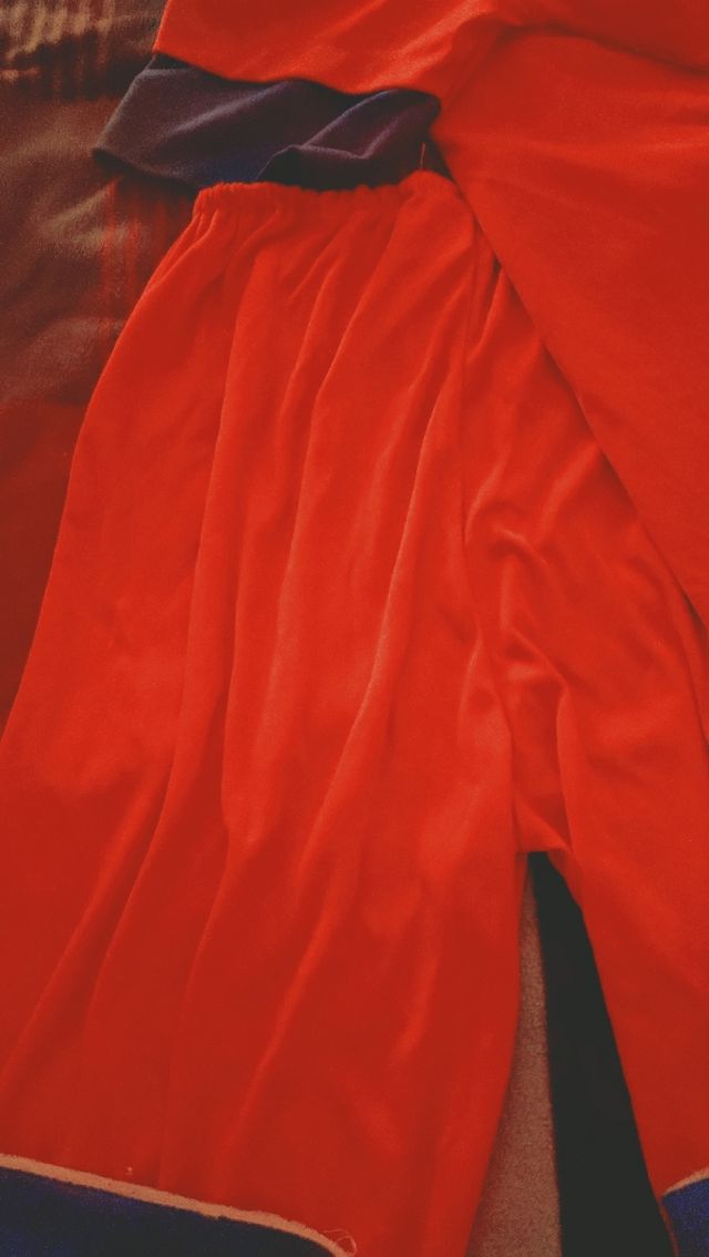 Disfraz Goku Dragon Ball Z Super