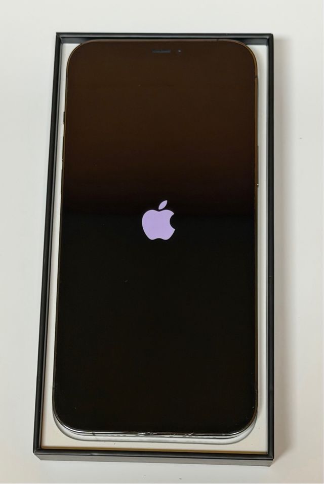 iPhone 12 Pro Max 512GB