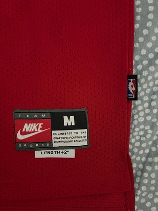 Camiseta Chicago Bulls Jordan #45 Nike Talla M