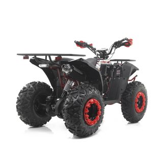 Quad 200cc D-N-R RFZ Commander R10