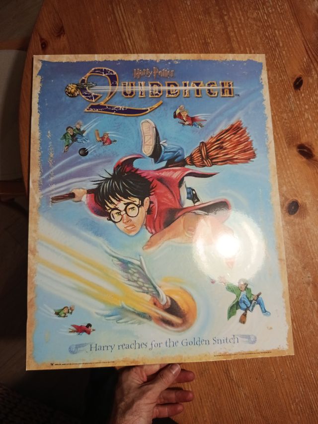 Cartel Harry Potter Quidditch
