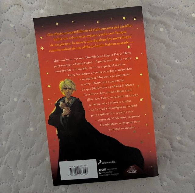 Harry Potter y el misterio del príncipe (Harry ...