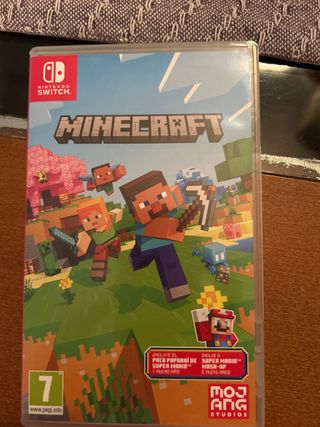 Minecraft Nintendo Switch
