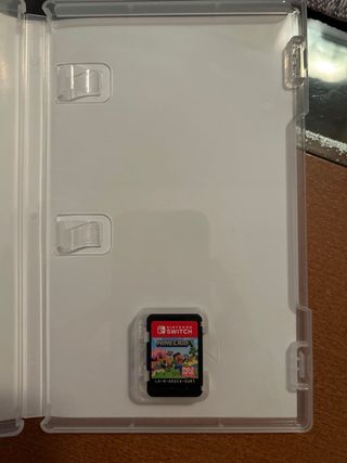 Minecraft Nintendo Switch