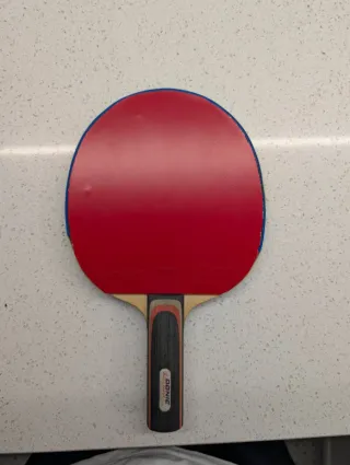 Pala Ping Pong Donic Waldner Word Champion 89