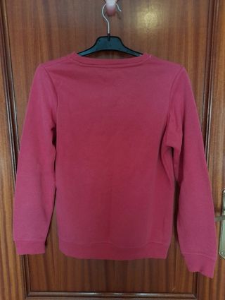 Sudadera rosa Frenchy Team perro