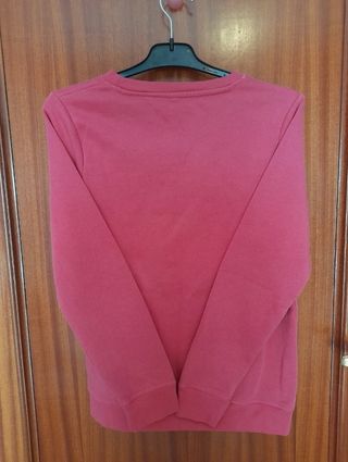 Sudadera rosa Frenchy Team perro