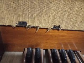 Organo Yamaha Electone