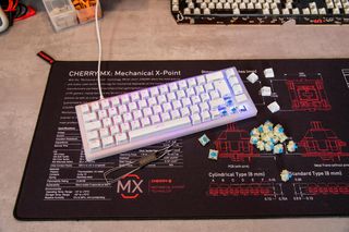 ✨ - CHERRY MX RGB BLUE Switch Kit, 23 interruptore