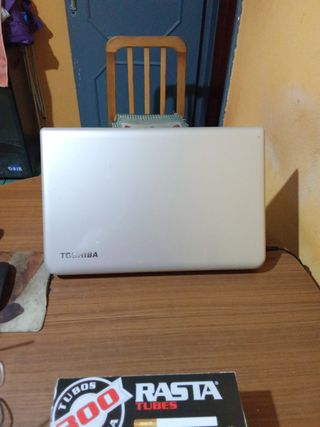 Toshiba Satellite L70-B-119 Portátil