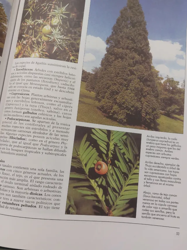 ATLAS DE BOTANICAS...EL MUNDO DE LAS PLANTAS