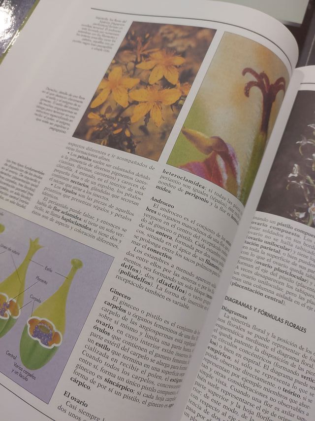 ATLAS DE BOTANICAS...EL MUNDO DE LAS PLANTAS