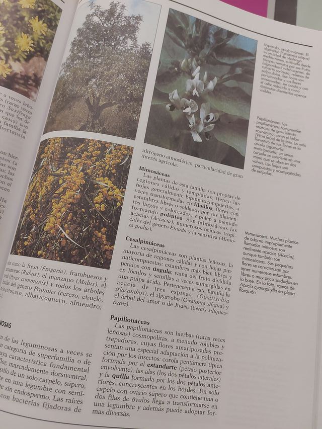 ATLAS DE BOTANICAS...EL MUNDO DE LAS PLANTAS