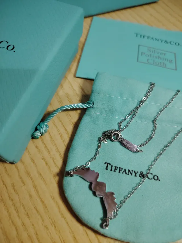 Collana Tiffany & Co. Cuore Alato Argento