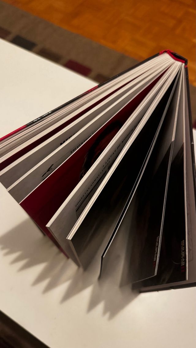 Guía Coleccionista Red Dead Redemption 2